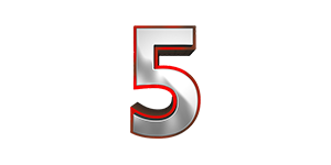 5 лет успешной работы