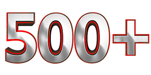 более 500 выполненых проектов